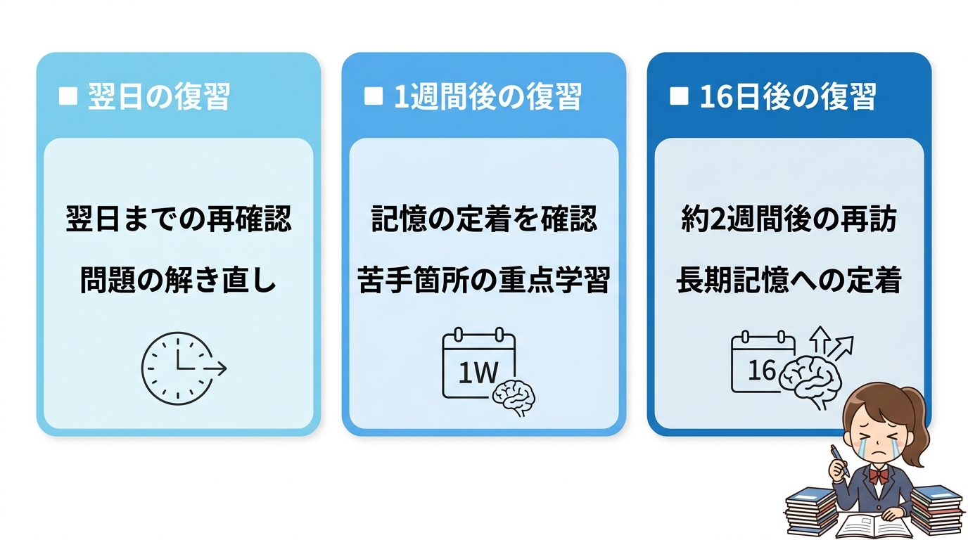 エビングハウスの忘却曲線を活かす